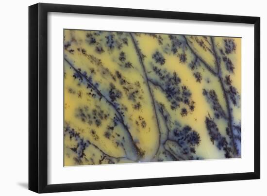 Moss Opaline-Darrell Gulin-Framed Photographic Print