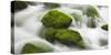 Moss-Overcast Stones, Influx of the Orbe, Vallorbe, Vaud, Switzerland-Rainer Mirau-Stretched Canvas