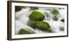 Moss-Overcast Stones, Influx of the Orbe, Vallorbe, Vaud, Switzerland-Rainer Mirau-Framed Photographic Print