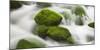 Moss-Overcast Stones, Influx of the Orbe, Vallorbe, Vaud, Switzerland-Rainer Mirau-Mounted Photographic Print