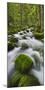 Moss-Overcast Stones, Influx of the Orbe, Vallorbe, Vaud, Switzerland-Rainer Mirau-Mounted Photographic Print