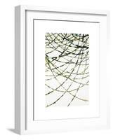 Moss Vine-Candice Alford-Framed Giclee Print