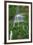 Moss Waterfall-Lynda White-Framed Photographic Print