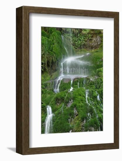 Moss Waterfall-Lynda White-Framed Photographic Print