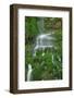 Moss Waterfall-Lynda White-Framed Photographic Print