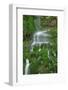 Moss Waterfall-Lynda White-Framed Photographic Print