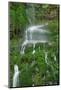 Moss Waterfall-Lynda White-Mounted Photographic Print
