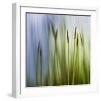 Moss-Ursula Abresch-Framed Photographic Print