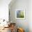 Moss-Ursula Abresch-Framed Photographic Print displayed on a wall