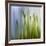 Moss-Ursula Abresch-Framed Photographic Print