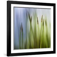 Moss-Ursula Abresch-Framed Photographic Print