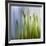 Moss-Ursula Abresch-Framed Photographic Print