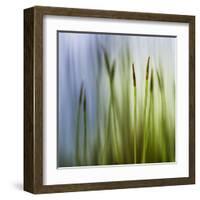 Moss-Ursula Abresch-Framed Premium Photographic Print