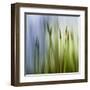 Moss-Ursula Abresch-Framed Premium Photographic Print