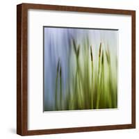 Moss-Ursula Abresch-Framed Premium Photographic Print