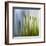 Moss-Ursula Abresch-Framed Premium Photographic Print