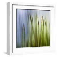 Moss-Ursula Abresch-Framed Premium Photographic Print