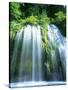 Mossbrae Falls CA USA-null-Stretched Canvas