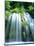 Mossbrae Falls CA USA-null-Mounted Photographic Print