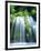 Mossbrae Falls CA USA-null-Framed Photographic Print