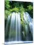 Mossbrae Falls CA USA-null-Mounted Photographic Print