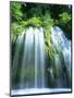 Mossbrae Falls CA USA-null-Mounted Photographic Print