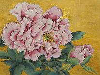 Gently Pink Peony Flower on a Gold Background-mossolainen nikolai-Stretched Canvas