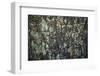 Mossy bark, Peaks Of Otter, Blue Ridge Parkway, Smoky Mountains, USA.-Anna Miller-Framed Photographic Print
