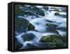 Mossy boulders in Bennett Spring, Bennett Spring State Park, Missouri, USA-Charles Gurche-Framed Stretched Canvas