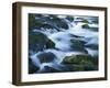 Mossy boulders in Bennett Spring, Bennett Spring State Park, Missouri, USA-Charles Gurche-Framed Premium Photographic Print