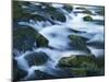 Mossy boulders in Bennett Spring, Bennett Spring State Park, Missouri, USA-Charles Gurche-Mounted Premium Photographic Print