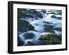 Mossy boulders in Bennett Spring, Bennett Spring State Park, Missouri, USA-Charles Gurche-Framed Photographic Print