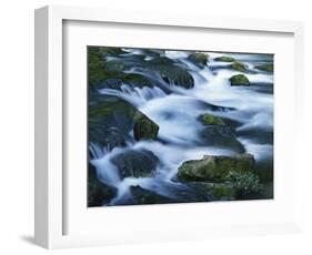 Mossy boulders in Bennett Spring, Bennett Spring State Park, Missouri, USA-Charles Gurche-Framed Photographic Print