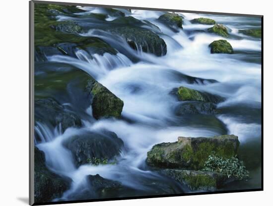 Mossy boulders in Bennett Spring, Bennett Spring State Park, Missouri, USA-Charles Gurche-Mounted Photographic Print