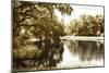 Mossy Lake I-Alan Hausenflock-Mounted Photographic Print