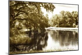 Mossy Lake I-Alan Hausenflock-Mounted Photographic Print