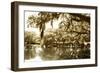 Mossy Lake II-Alan Hausenflock-Framed Photographic Print