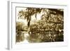 Mossy Lake II-Alan Hausenflock-Framed Photographic Print