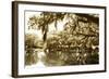 Mossy Lake II-Alan Hausenflock-Framed Photographic Print