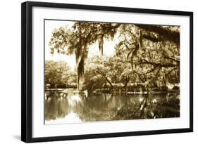 Mossy Lake II-Alan Hausenflock-Framed Photographic Print