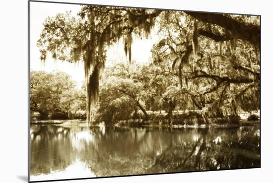 Mossy Lake II-Alan Hausenflock-Mounted Photographic Print