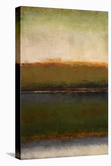 Mossy Landscape-Lanie Loreth-Stretched Canvas