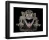 Mossy Leaf-Tailed Gecko, (Uroplatus Sikorae) Captive from Madgascar-Michael D. Kern-Framed Photographic Print