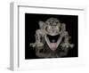 Mossy Leaf-Tailed Gecko, (Uroplatus Sikorae) Captive from Madgascar-Michael D. Kern-Framed Photographic Print