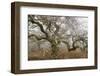 Mossy Oak-David Lorenz Winston-Framed Art Print