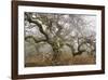 Mossy Oak-David Lorenz Winston-Framed Giclee Print