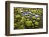 Mossy Rocks along a Creek-Craig Tuttle-Framed Photographic Print
