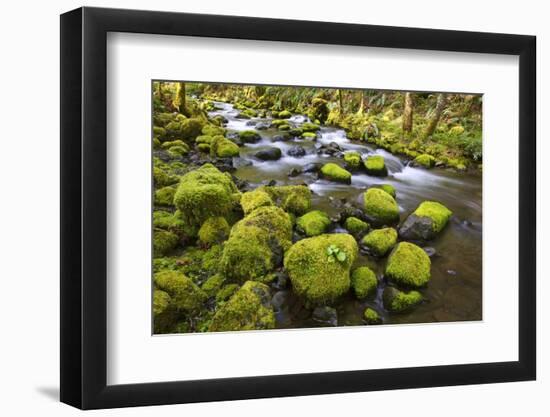 Mossy Rocks along a Creek-Craig Tuttle-Framed Photographic Print