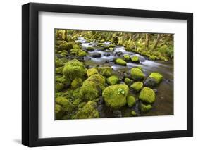 Mossy Rocks along a Creek-Craig Tuttle-Framed Photographic Print