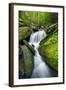 Mossy Rocks on Cascade-Michael Blanchette-Framed Photographic Print